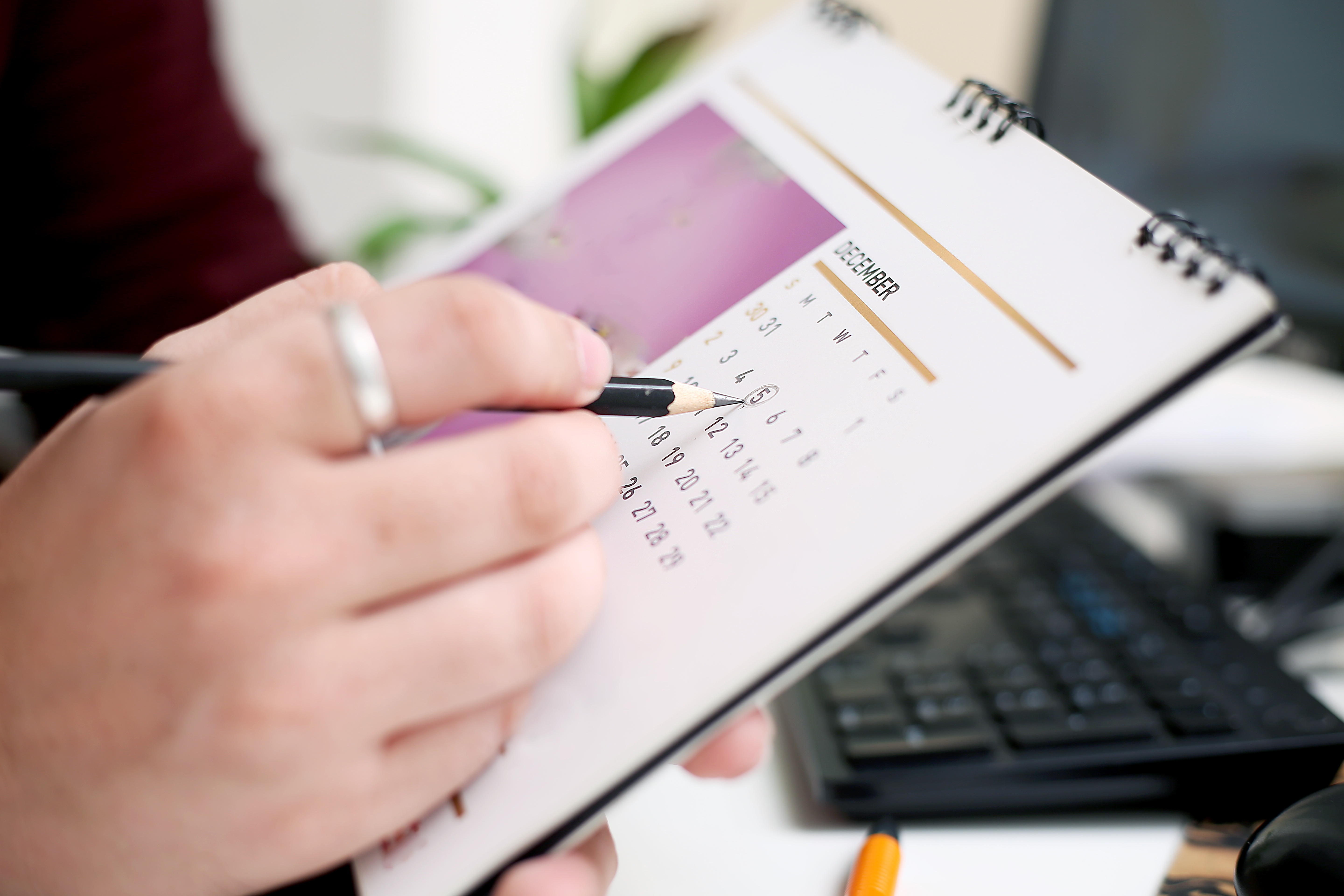 f1digitals-calendar-7702614